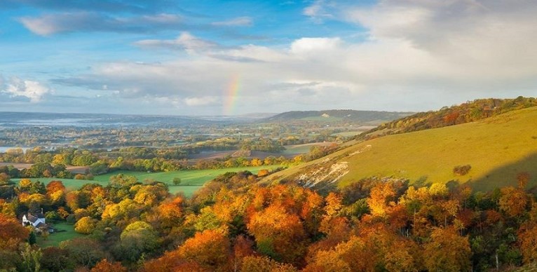 再度重遊必到Surrey Hills