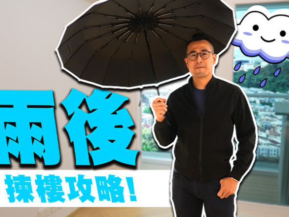 【雨後：揀樓攻略】平面圖、價單、景觀、規劃詳盡分析! 星星地產何許人也? (附影片)