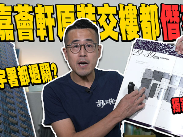 【獨家調查報道：嘉薈軒僭建風波】原裝交樓竟已有違規建築!? 發展商有否刻意違契? (附影片)
