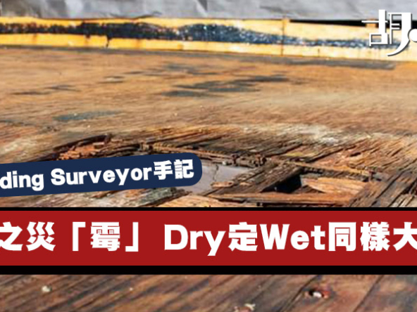 【英國Building Surveyor手記】木屋之災「霉」 Dry定Wet同樣大鑊！