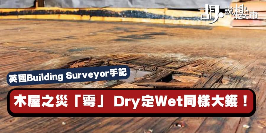 【英國Building Surveyor手記】木屋之災「霉」 Dry定Wet同樣大鑊！