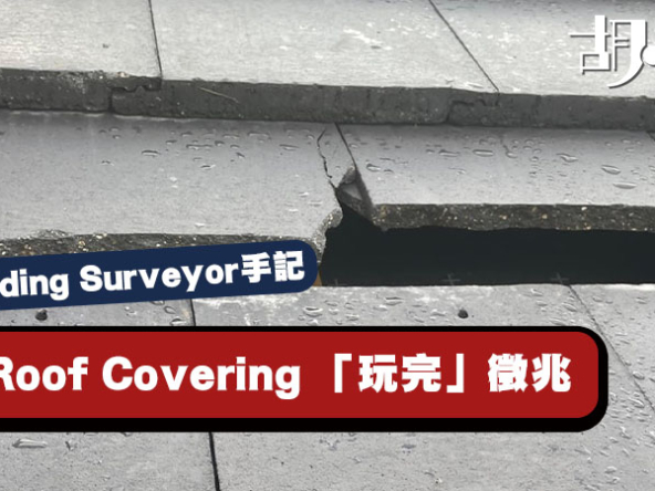 【英國Building Surveyor手記】屋頂Roof Covering 「玩完」徵兆