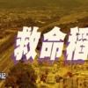 【Fund佬投資筆記】救命稻草