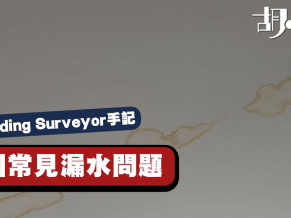 【英國Building Surveyor手記】英國常見漏水問題