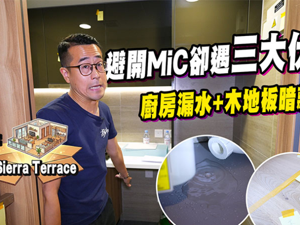 【樂嶺軒: 驗樓】粉嶺房協資助房屋開箱！拆解廚房漏水、木地板暗藏陷阱及房協官方回應 (附影片)