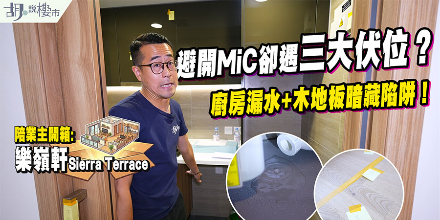 【樂嶺軒: 驗樓】粉嶺房協資助房屋開箱！拆解廚房漏水、木地板暗藏陷阱及房協官方回應 (附影片)