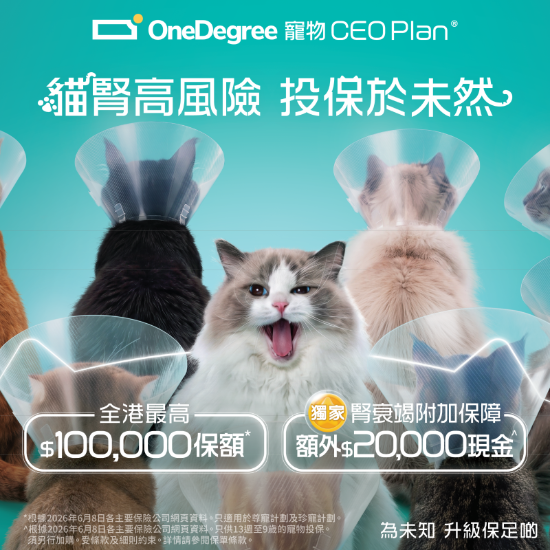 OneDegree寵物保險